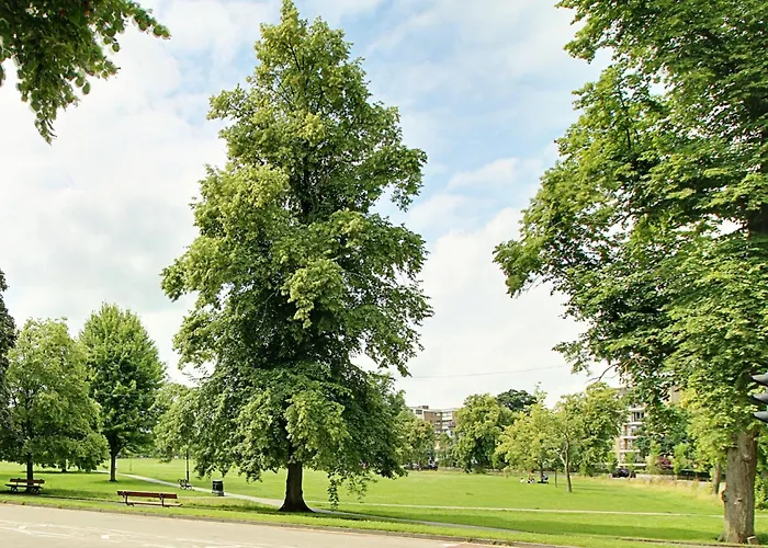 Apartamento The Nook With Parking, Sleeps 2 Harrogate