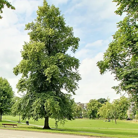 Lägenhet The Nook With Parking Harrogate